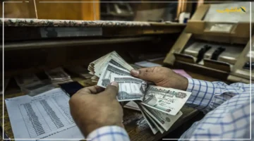 رسميًا.. شروط وخطوات التقديم على معاش تكافل وكرامة 2025 دليلك الكامل للحصول على الدعم 1